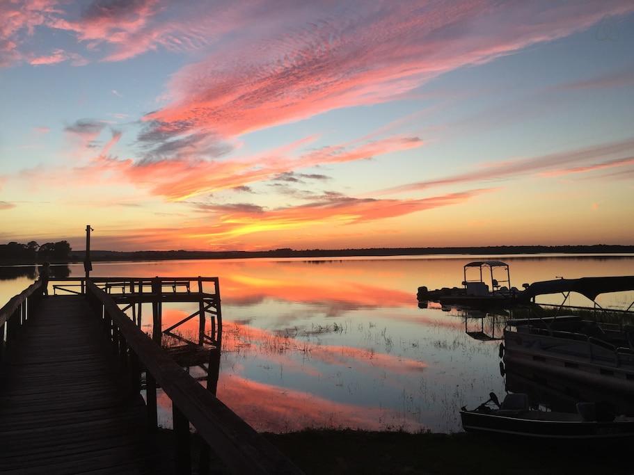 Welaka Airbnb Rentals Pet Policy