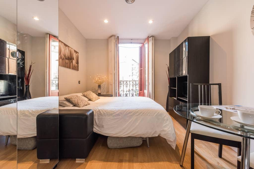 Pet Friendly Madrid Airbnb Rentals