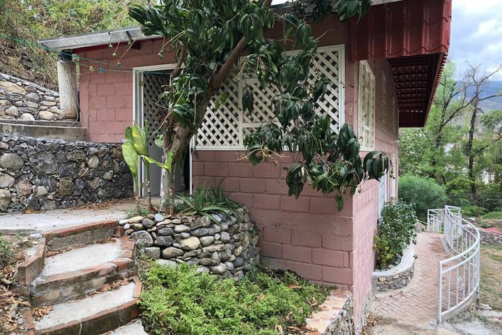 Pet Friendly Alamos Airbnb Rentals