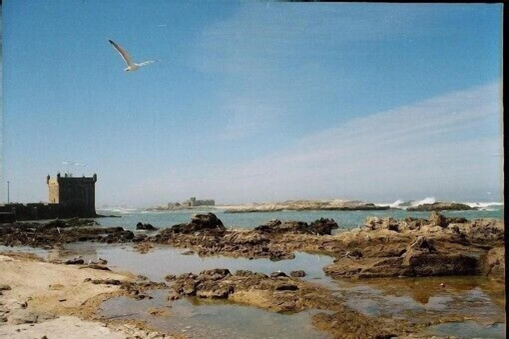 Pet Friendly The Small Blue from Essaouira