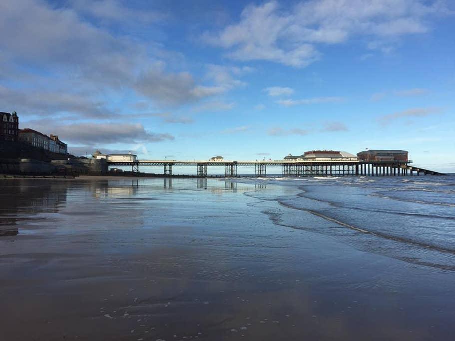 is cromer beach dog friendly