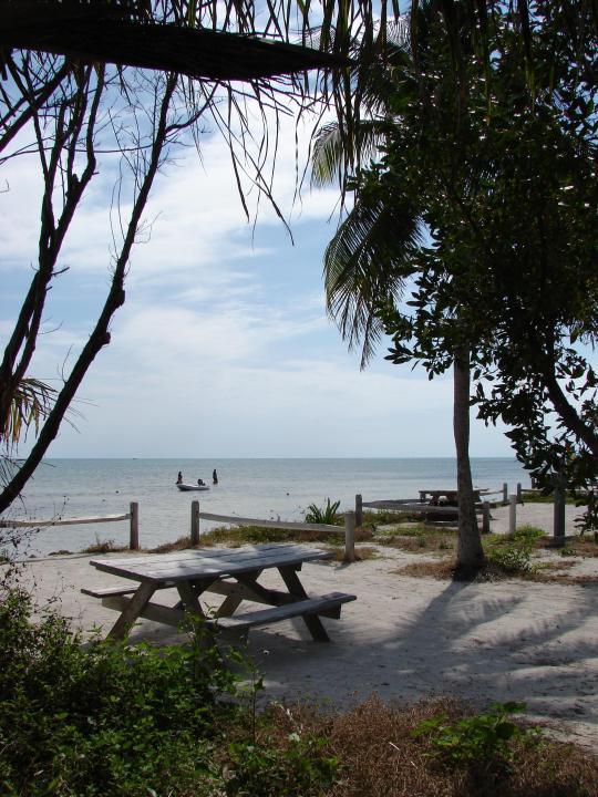 Pet Friendly Long Key State Park Campground