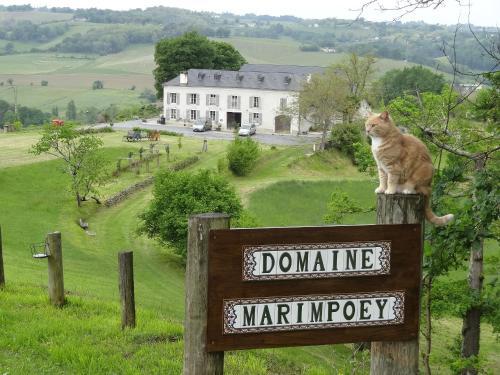 Pet Friendly Maison d'Hôtes Marimpoey