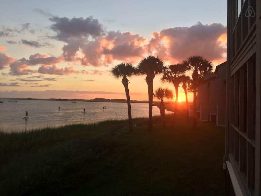 Folly Beach Airbnb Rentals Pet Policy