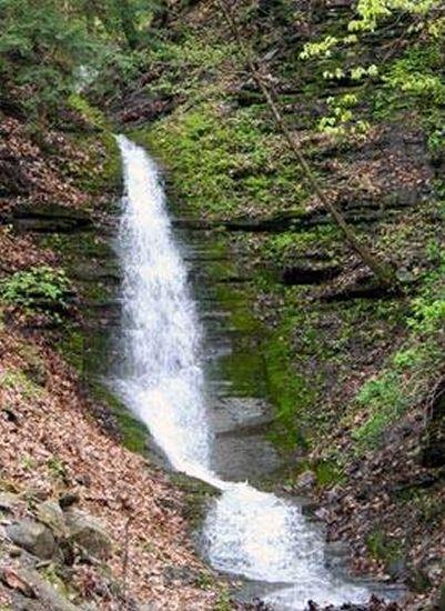 Pet Friendly Vacation Rentals In Canandaigua Ny Bringfido