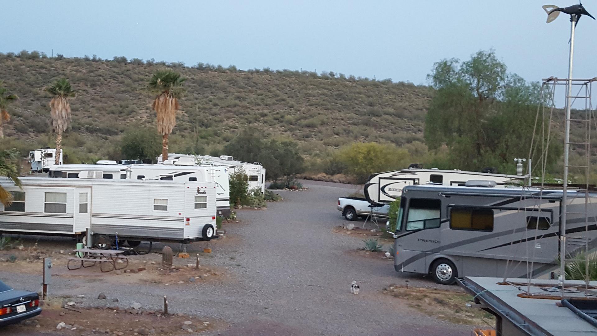 Pet Friendly Black Canyon Campground