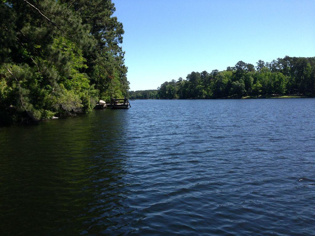 Pet Friendly Vacation Rentals In Livingston Tx Bringfido