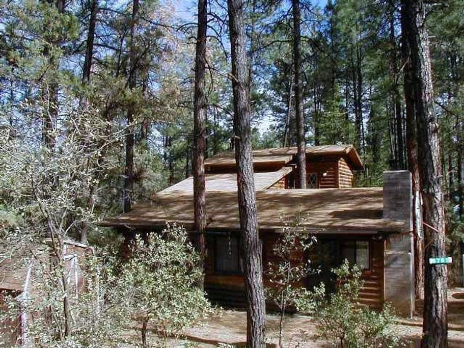 Pine Airbnb Rentals Pet Policy