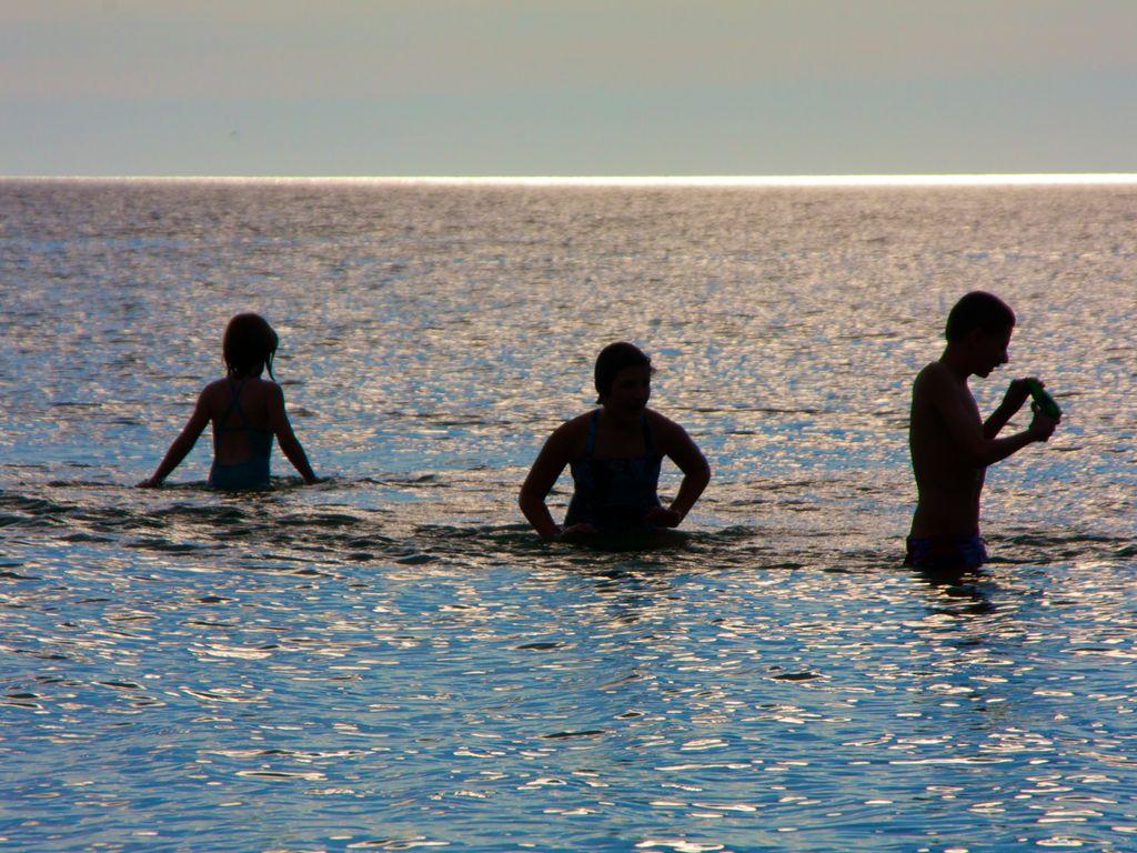 Pet Friendly Vacation Rentals In Saint Ignace Mi Bringfido