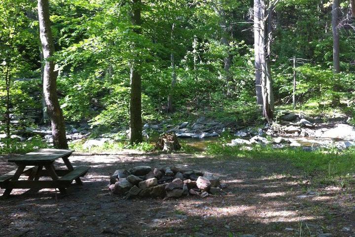 Pet Friendly Crow's Nest Campground