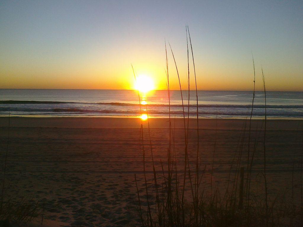 Pet Friendly Hotels In North Carolina Bringfido