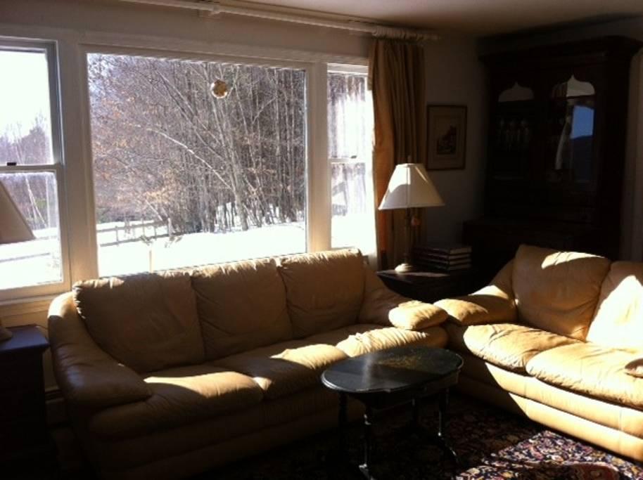 Pet Friendly Vacation Rentals In Newfound Lake Nh Bringfido