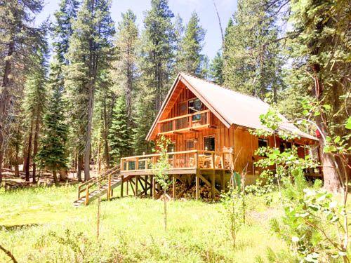 Pet Friendly Vacation Rentals In Bear Valley Ca Bringfido