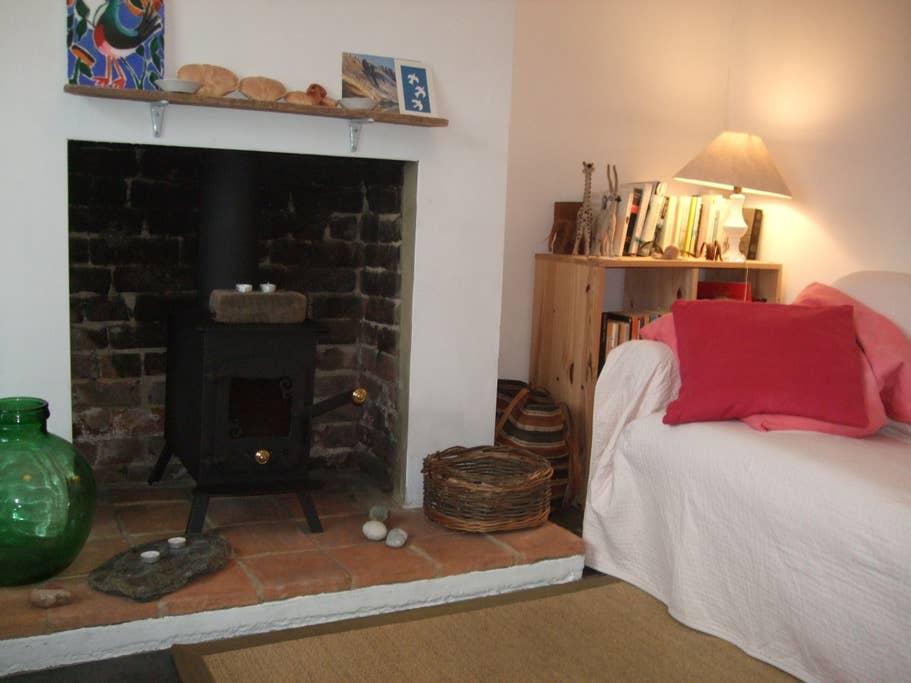 Pet Friendly Whitstable Airbnb Rentals