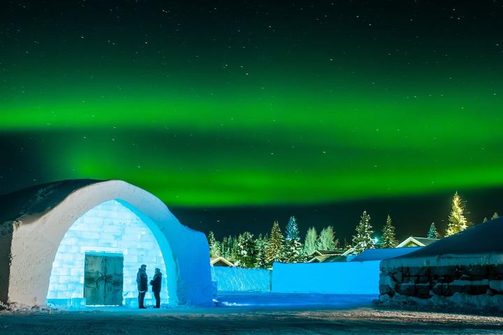 Pet Friendly Icehotel
