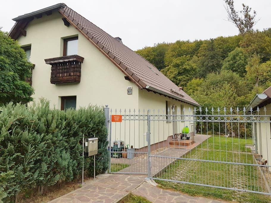 Pet Friendly Oberhof Airbnb Rentals