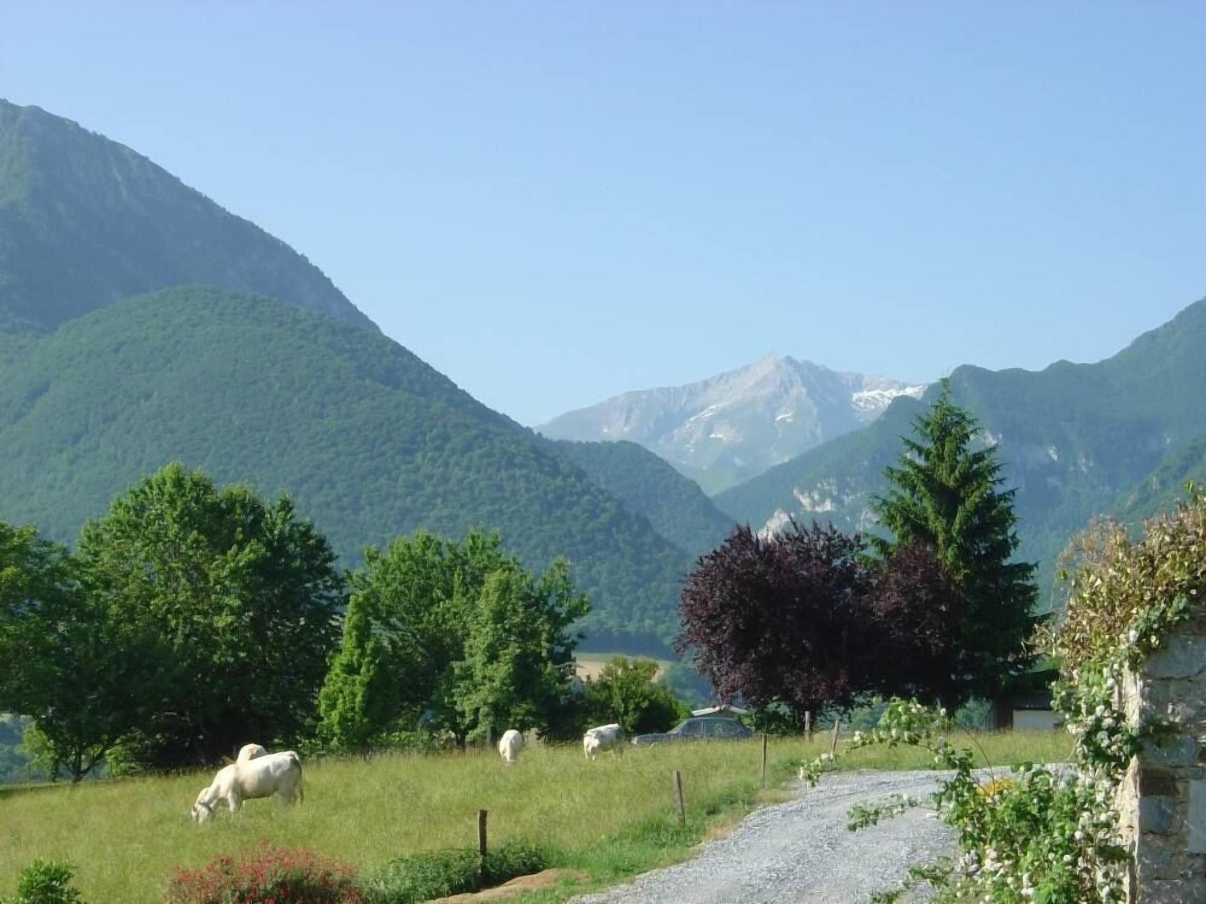 Pet Friendly Country Cottage Arthez D'asson