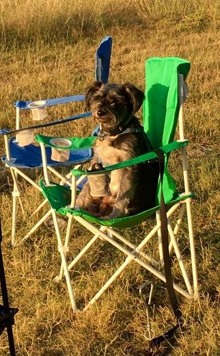 Jenny Wiley State Park Campground Pet Policy