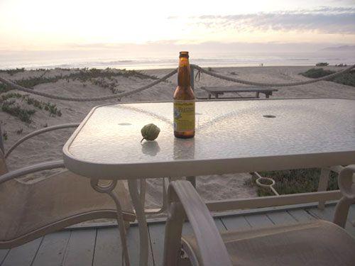 Pet Friendly Vacation Rentals In Pismo Beach Ca Bringfido