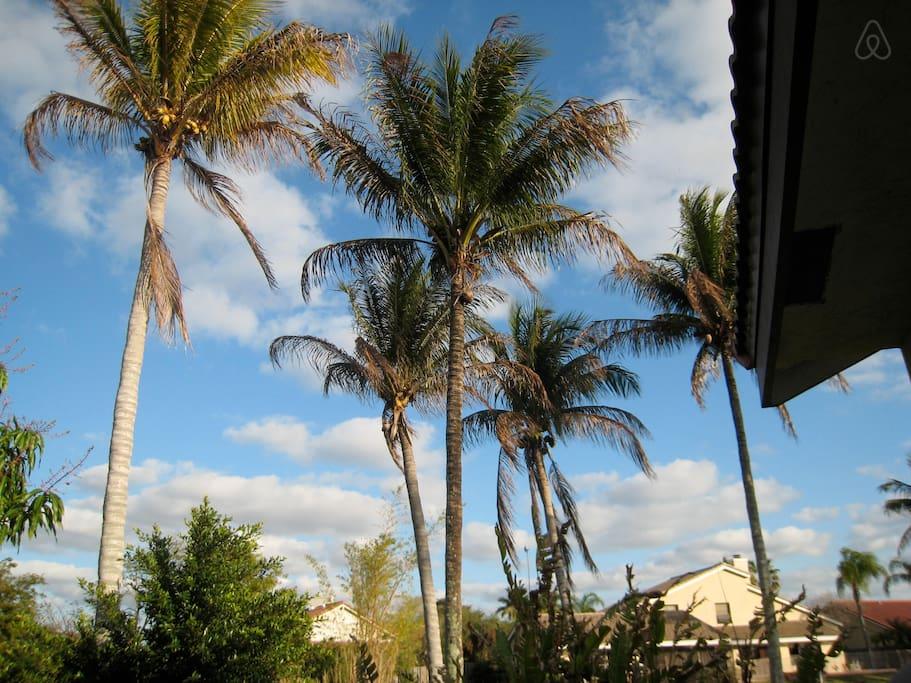 Plantation Airbnb Rentals Pet Policy