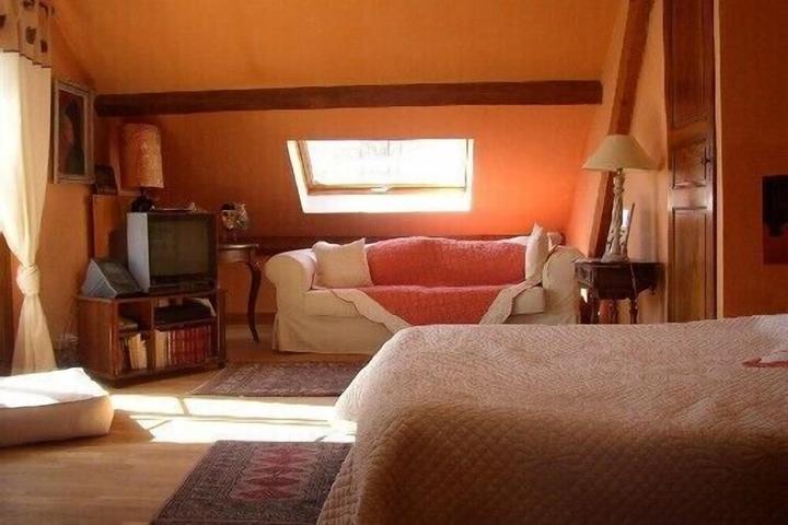 Pet Friendly Charming Apartment in Character House