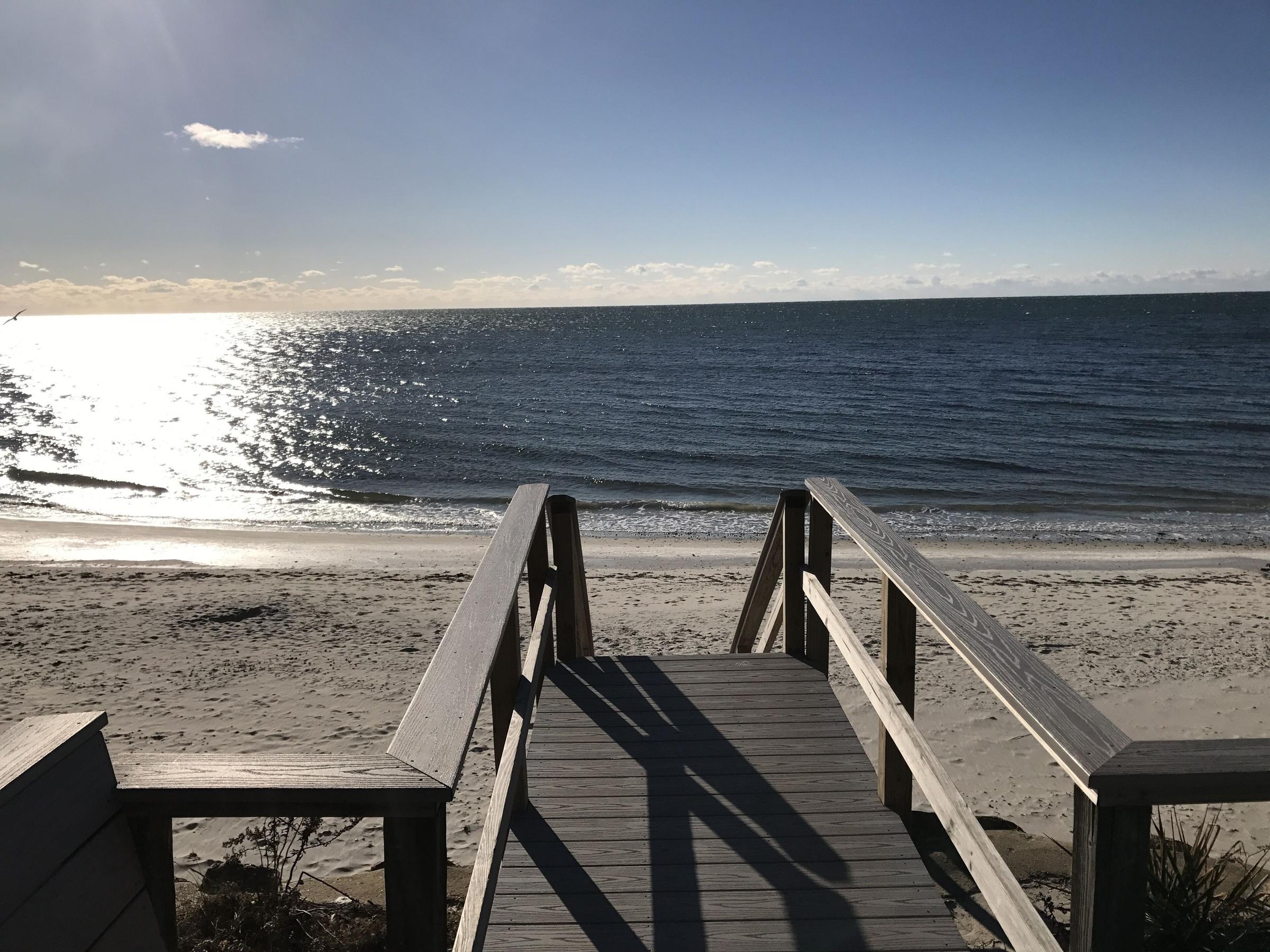 Pet Friendly Whale's Tale Cottage