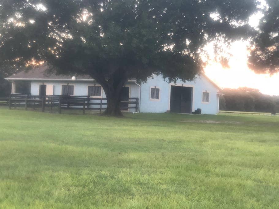 Gulf Hammock Airbnb Rentals Pet Policy