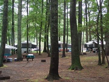 Pet Friendly Raccoon Holler Campground