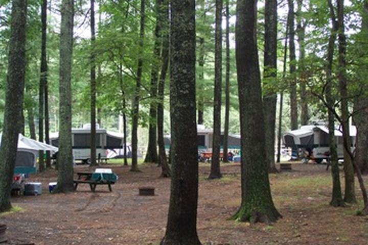 Pet Friendly Raccoon Holler Campground