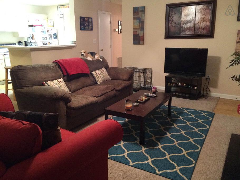 Pet Friendly Hotels in Pawleys Island, SC BringFido