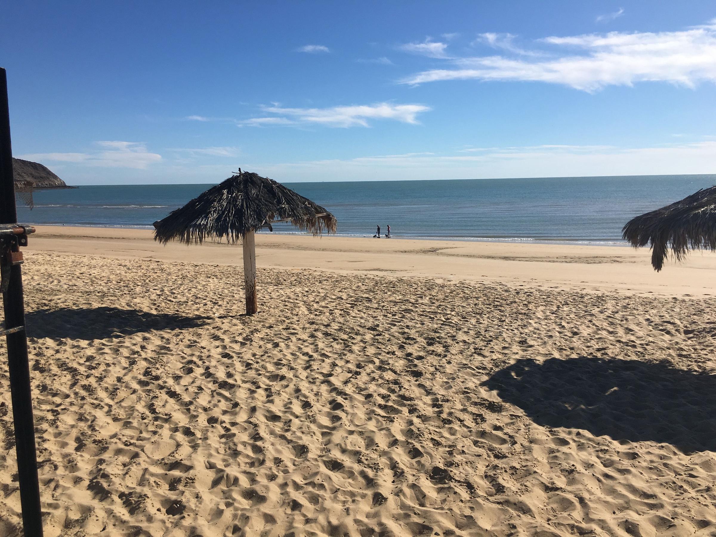 798 Mar de Cortez 14 Pet Policy