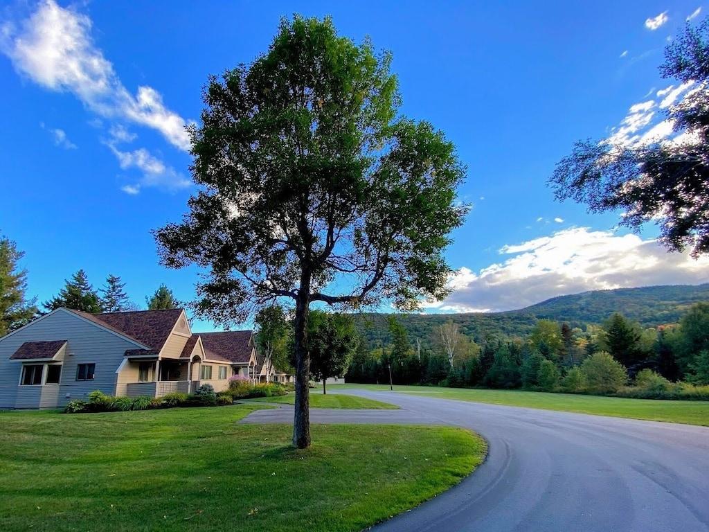 Hampshire Condo in Bretton Woods (FV50) Pet Policy