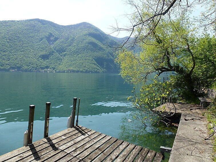 Bella Vista Pet Policy