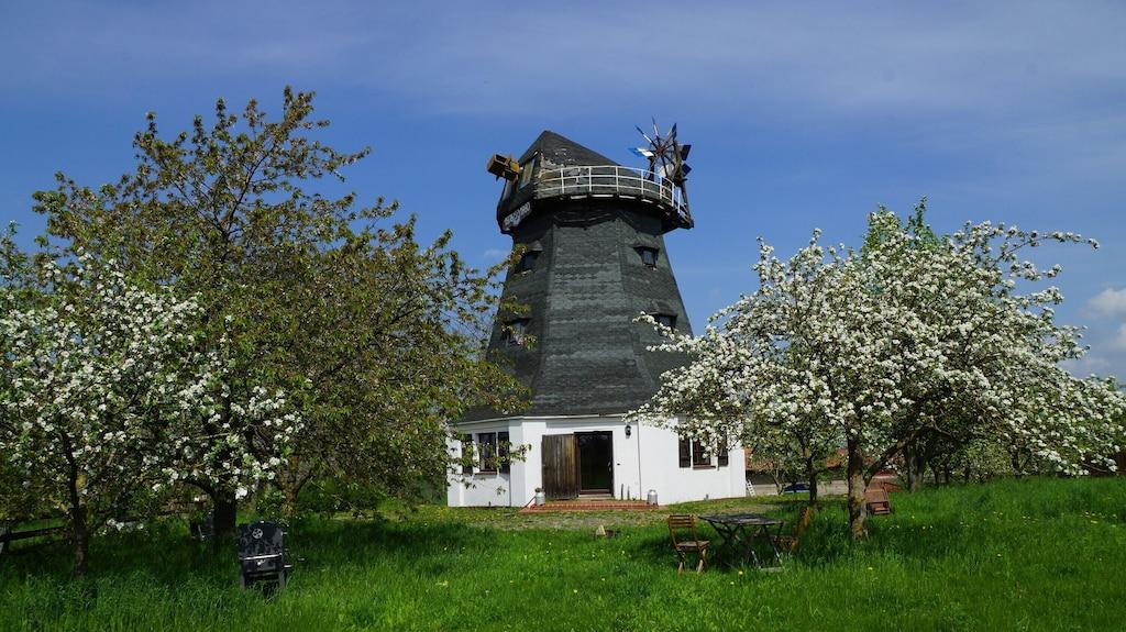 Pet Friendly Lovely Windmill with a Large Garden