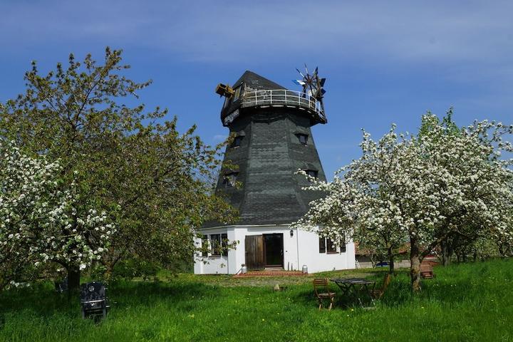 Pet Friendly Lovely Windmill with a Large Garden