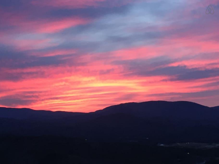 Campton Airbnb Rentals Pet Policy