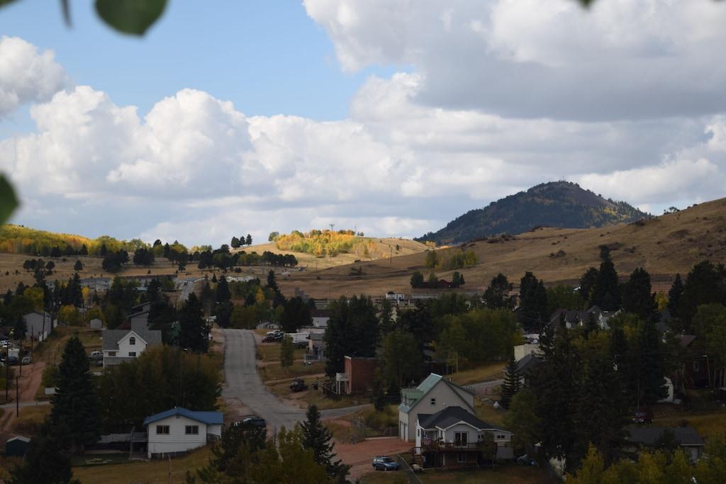 Cozy Comfy Cabin in the Heart of Cripple Creek Pet Policy