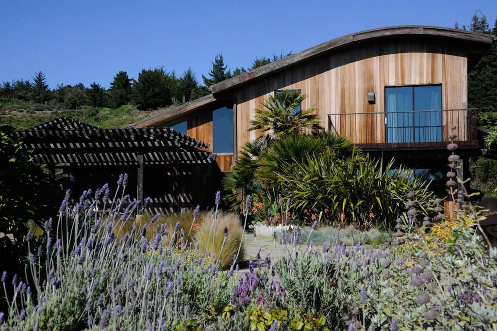 Big Sur Airbnb Rentals Pet Policy