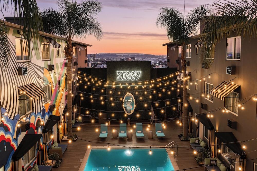 Pet Friendly Hotel Ziggy Los Angeles