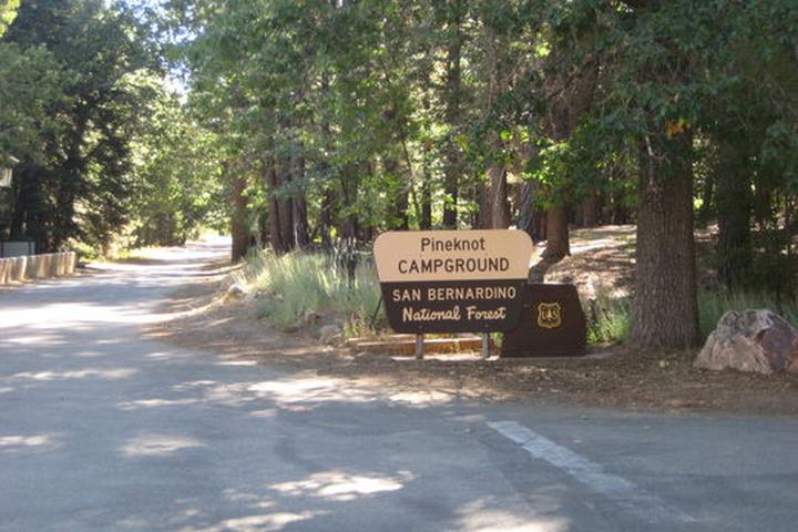 Pet Friendly Pineknot Campground