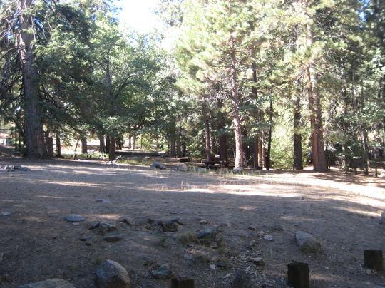 Pet Friendly Pineknot Campground
