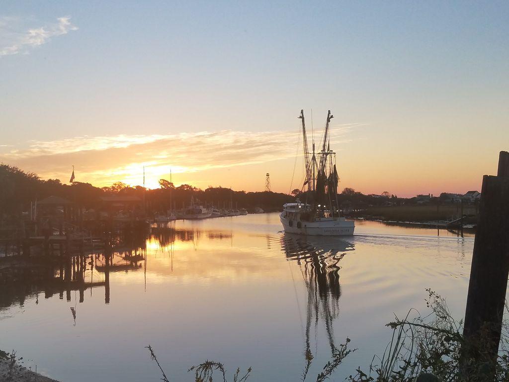 are dogs allowed at shem creek