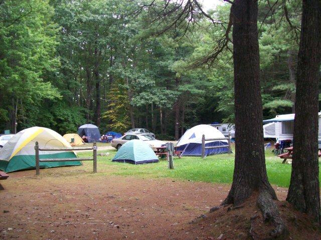 Pet Friendly Gregoire's Campground