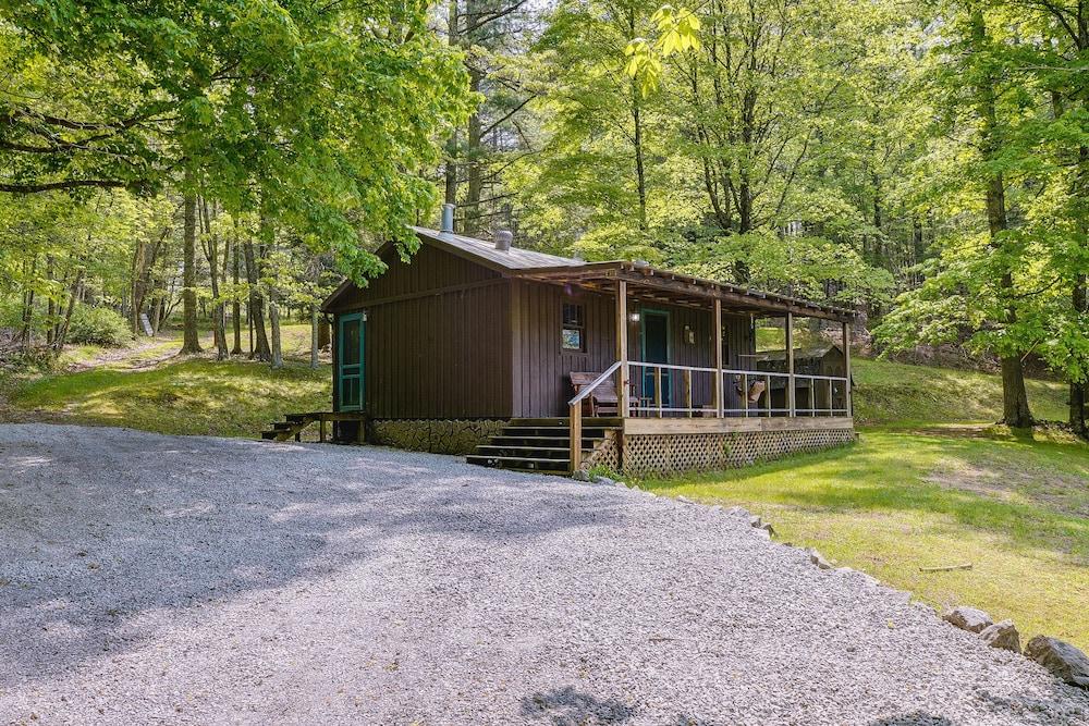 Pet Friendly Cozy Green Bank Cabin 2 Mi to Observatory