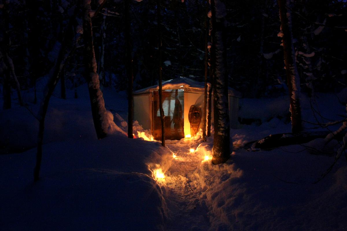 Pet Friendly Campgrounds In Ontario Bringfido