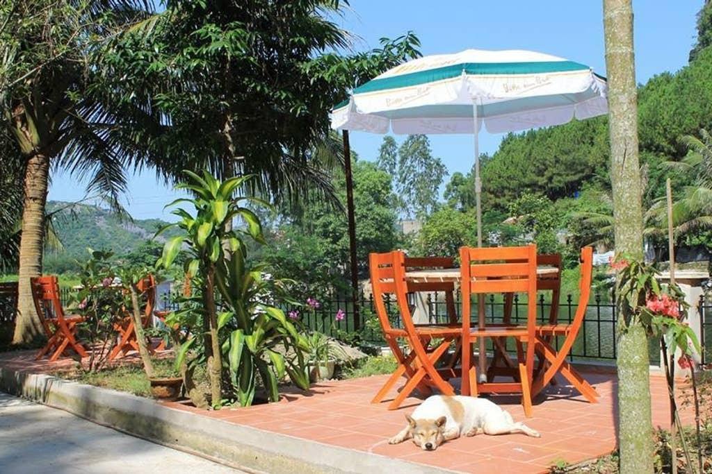 Pet Friendly Quang Ninh Airbnb Rentals