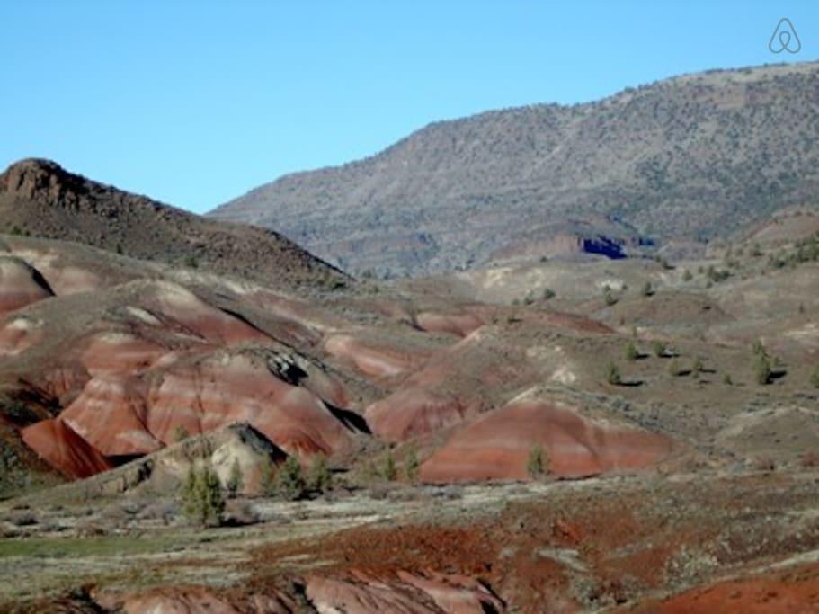 John Day Airbnb Rentals Pet Policy