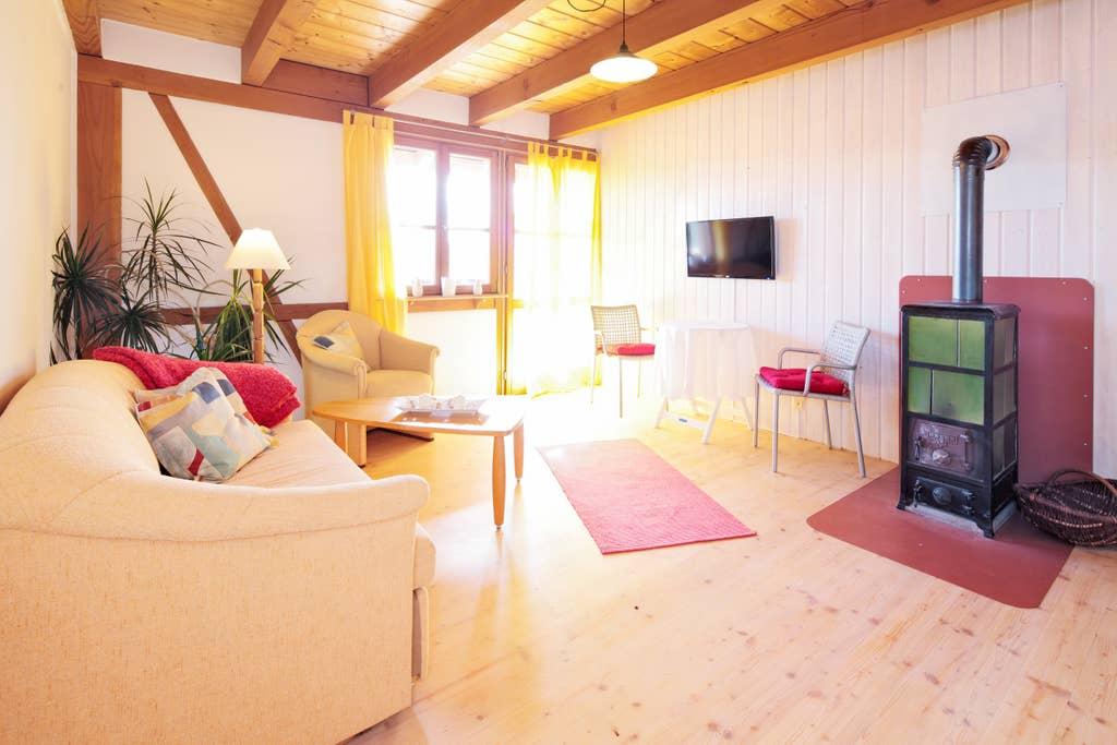 Pet Friendly Titisee Neustadt Airbnb Rentals