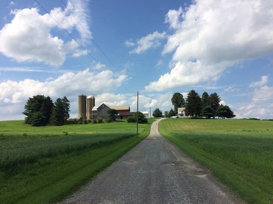 Apple Creek Airbnb Rentals Pet Policy