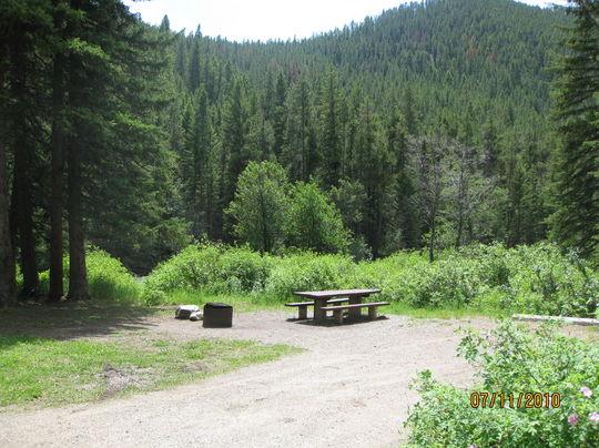 Moose Creek Flat Campground Pet Policy